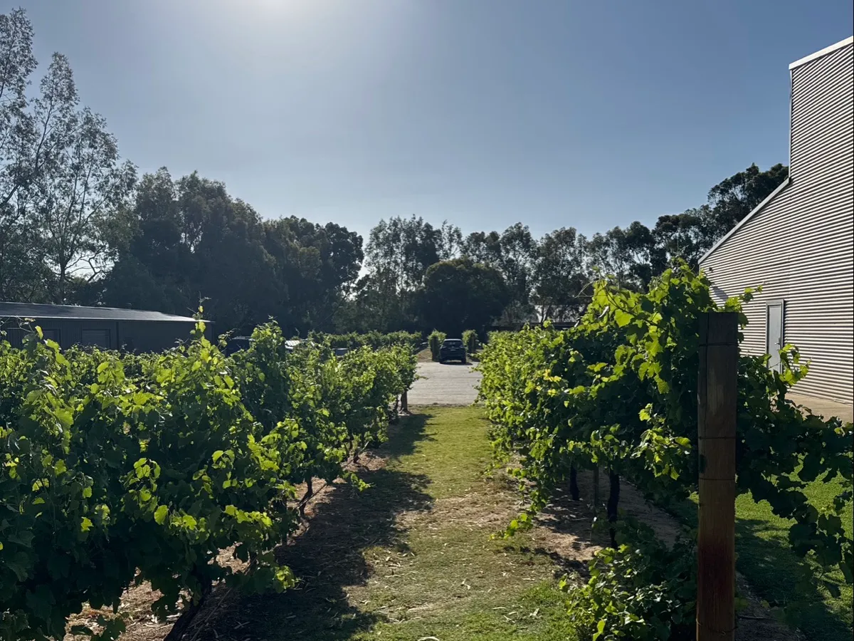 The Hilltop in Angaston, SA