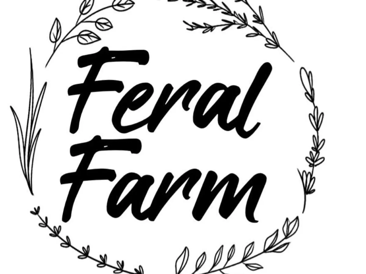 Feral Farm in Cessnock, NSW