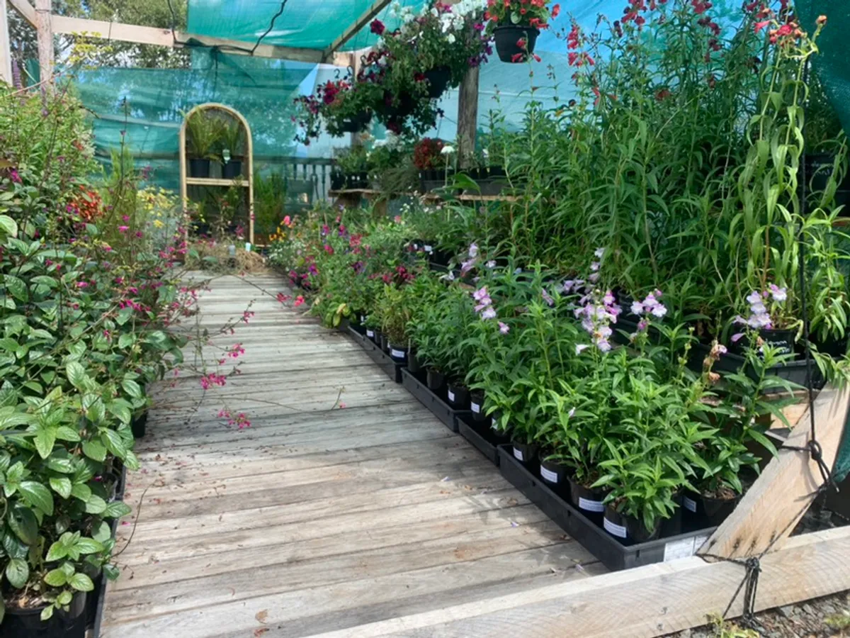 Van Tilburg Nursery  in Westbury, TAS