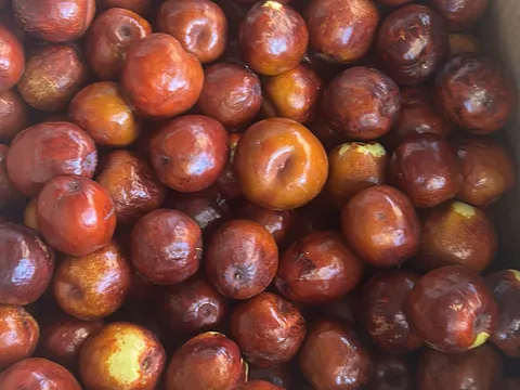 Morialta Morsels in Woodforde, SA