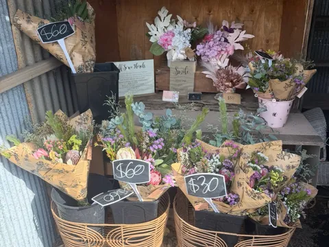 Vintage Wildflowers  in East Kurrajong, NSW