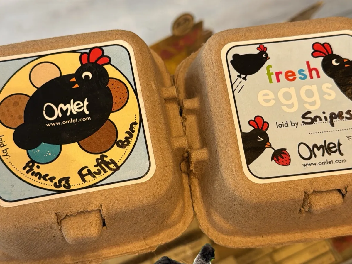 Happy Silkie Eggs in Hamilton, NSW