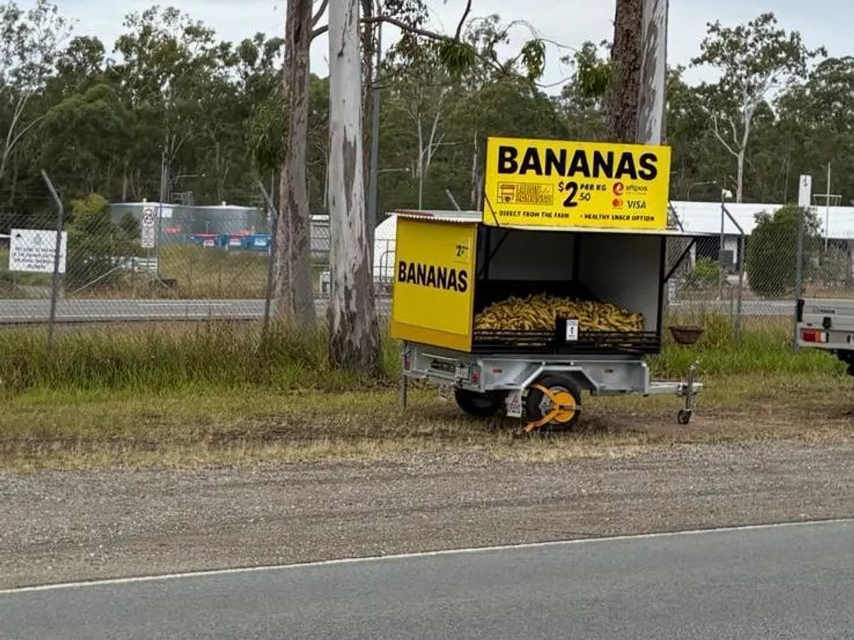 Bananas - Old Greenbank road in Greenbank, QLD
