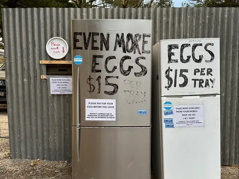 Yarra Valley Farm Fresh Eggs in Wesburn, VIC