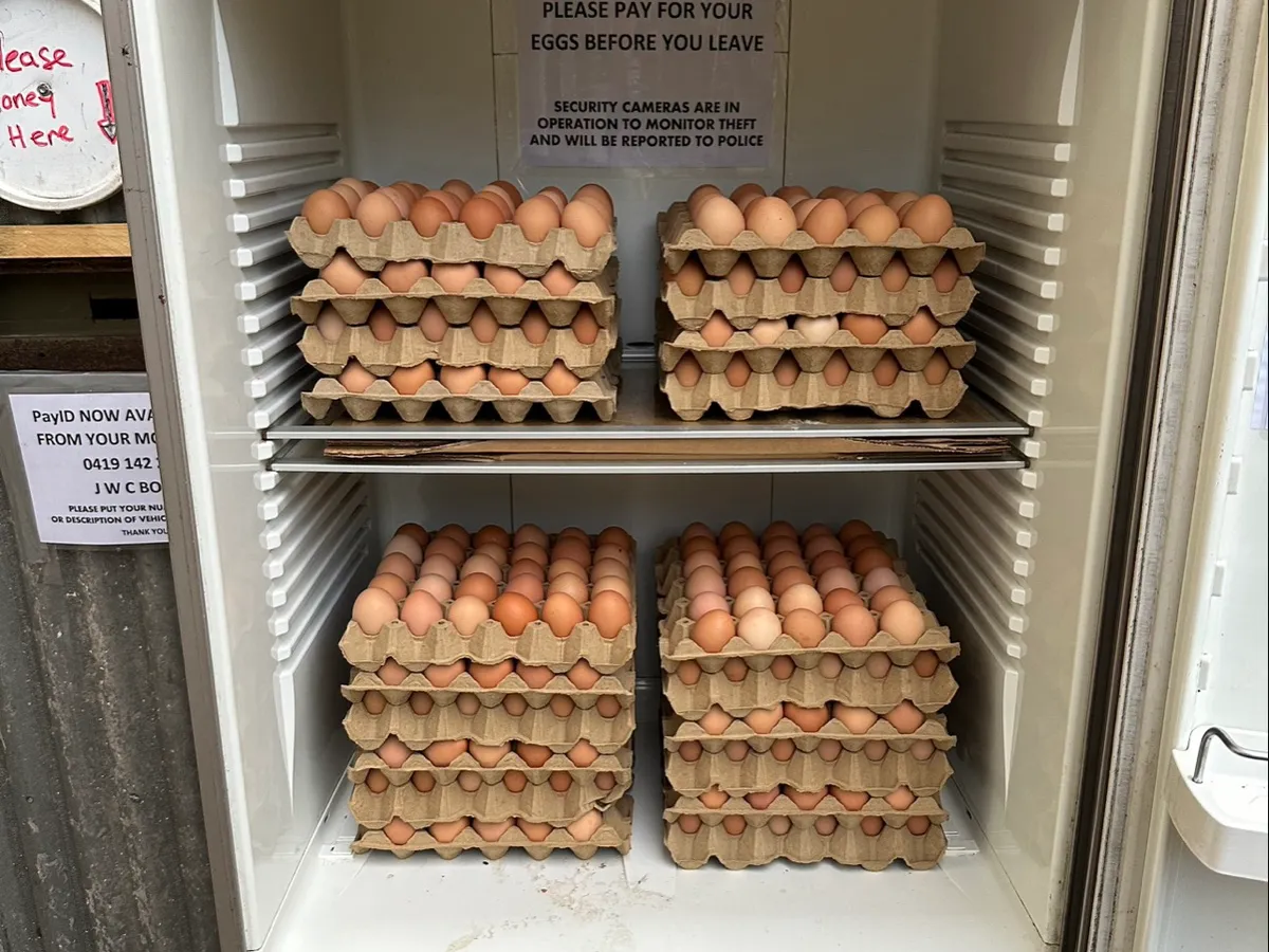 Yarra Valley Farm Fresh Eggs in Wesburn, VIC