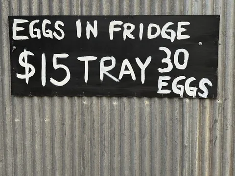 Yarra Valley Farm Fresh Eggs in Wesburn, VIC