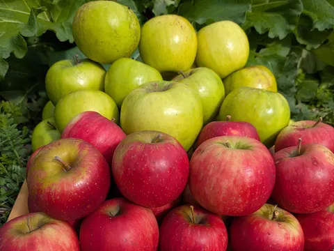 KQ PRODUCE in Deanmill, WA