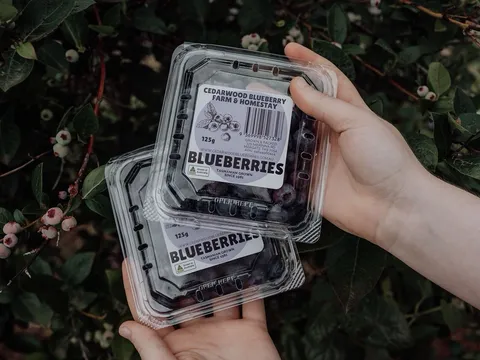 Cedarwood Blueberries in Margate, TAS