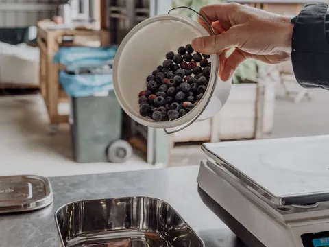 Cedarwood Blueberries in Margate, TAS