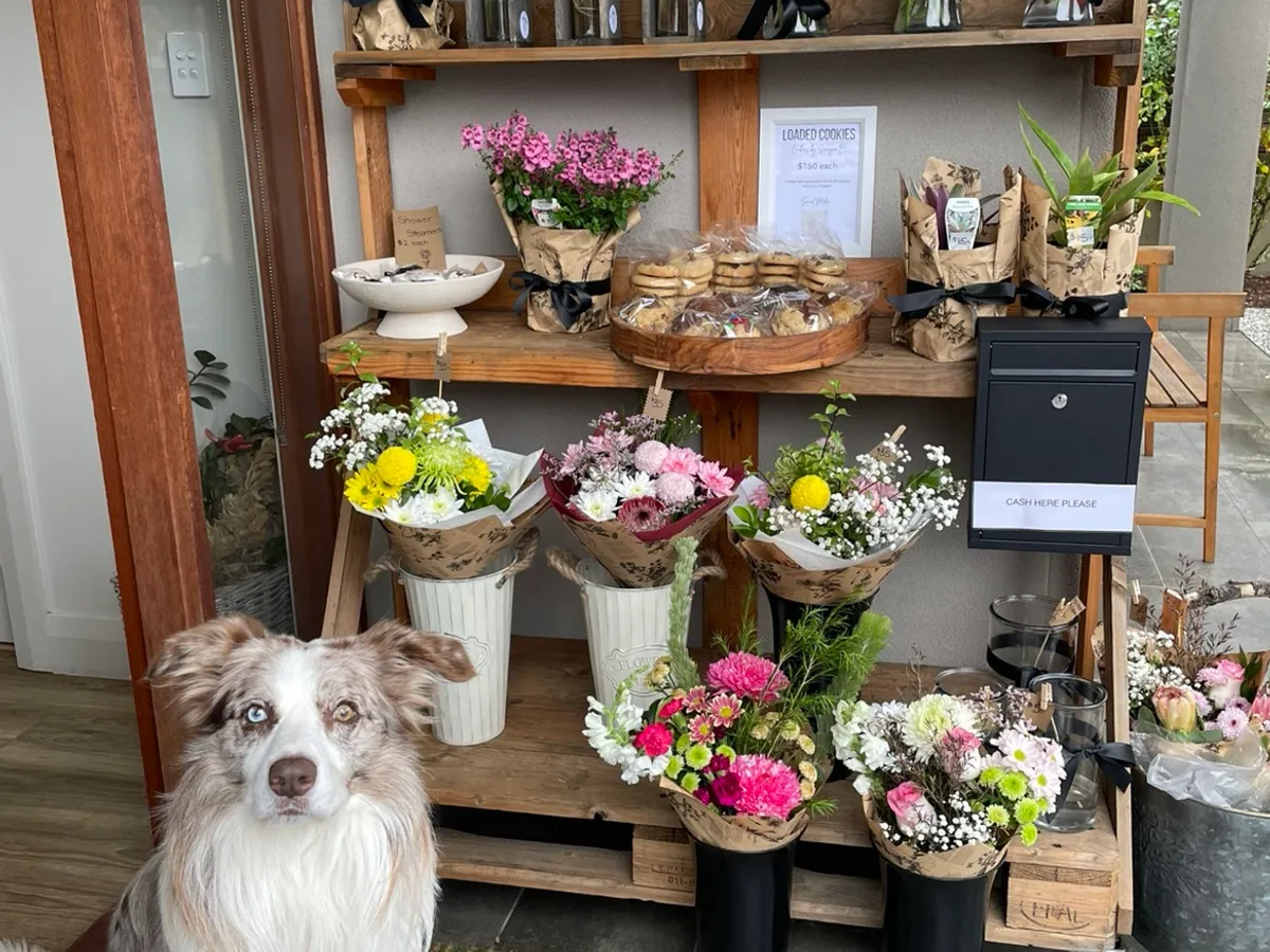 Posy Patch  in Mount Barker, SA