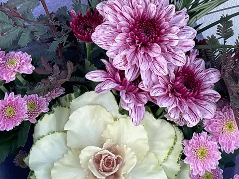 Posy Patch  in Mount Barker, SA