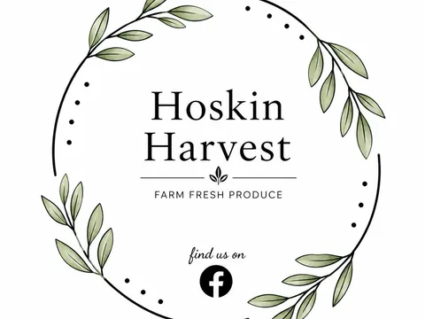 Hoskin Harvest in Lewiston, SA