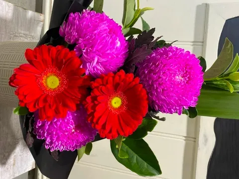 Two Wells Flowers in Two Wells, SA