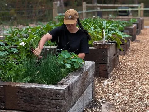 Forest Farm Denmark in Hay, WA