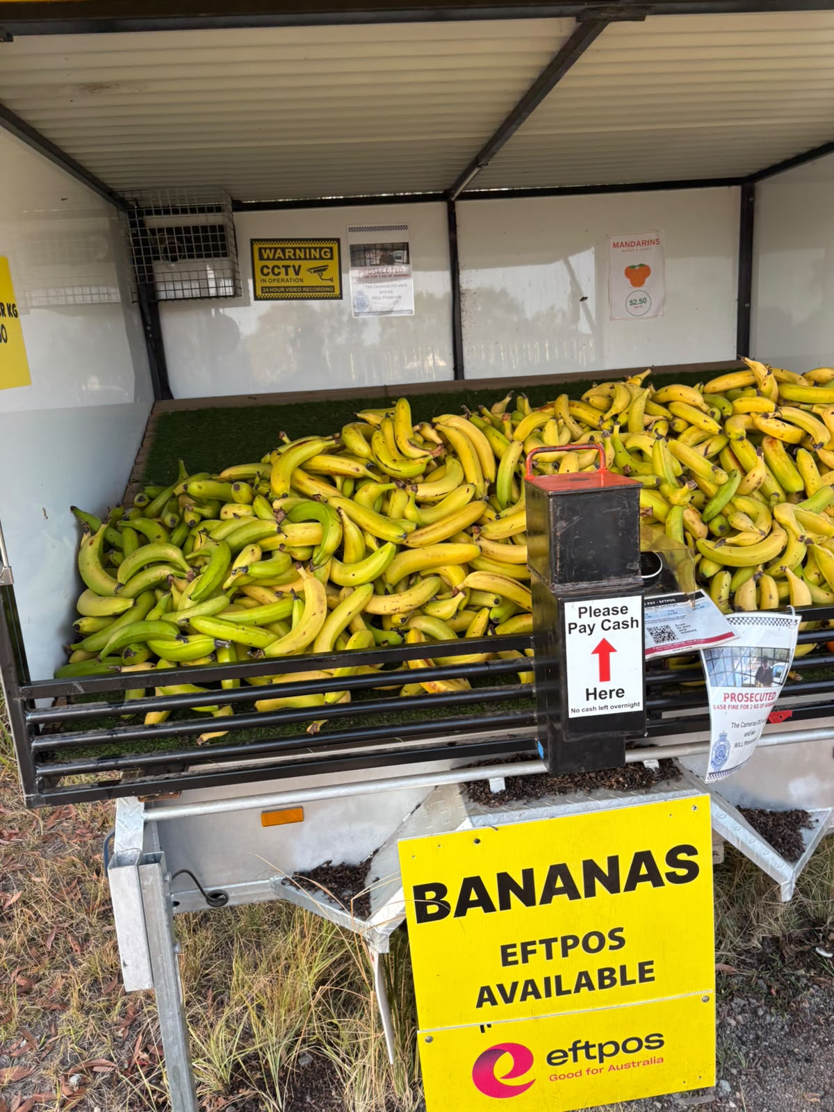 Logan Bananas - Waterford West in Waterford West, QLD
