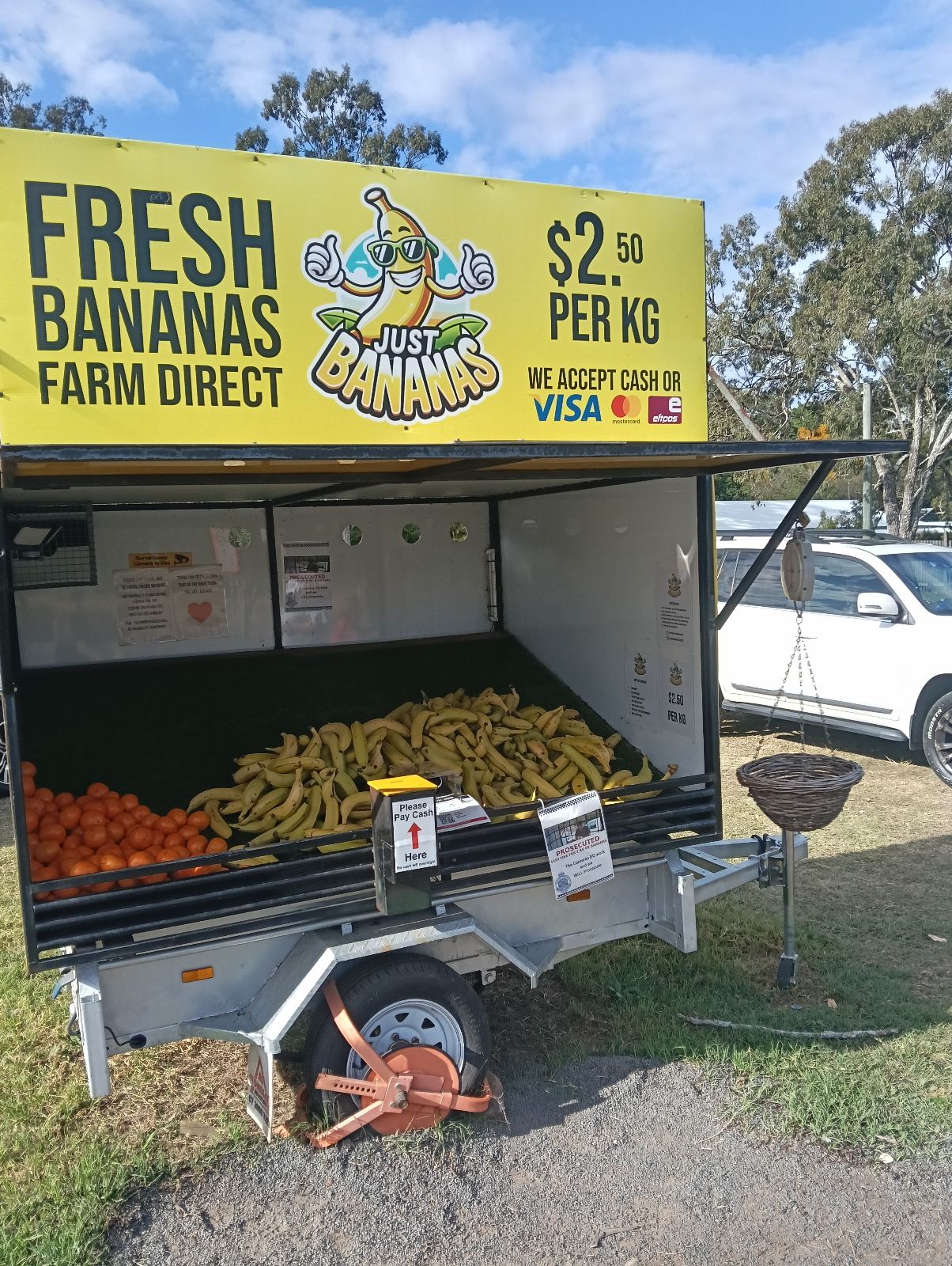 Just Bananas - Goodna in Brisbane, QLD