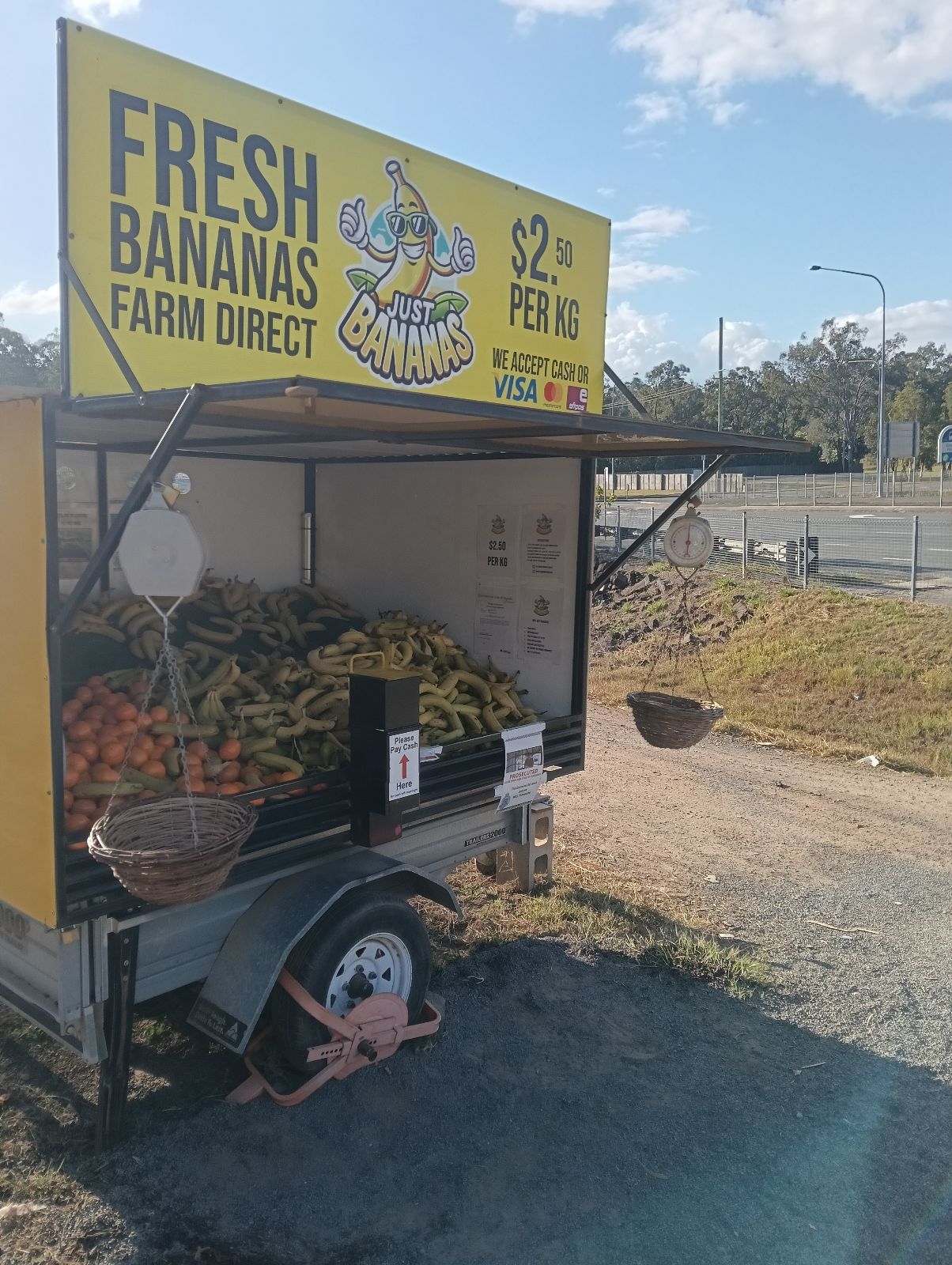 Just Bananas - Pine Mountain in Pine Mountain, QLD