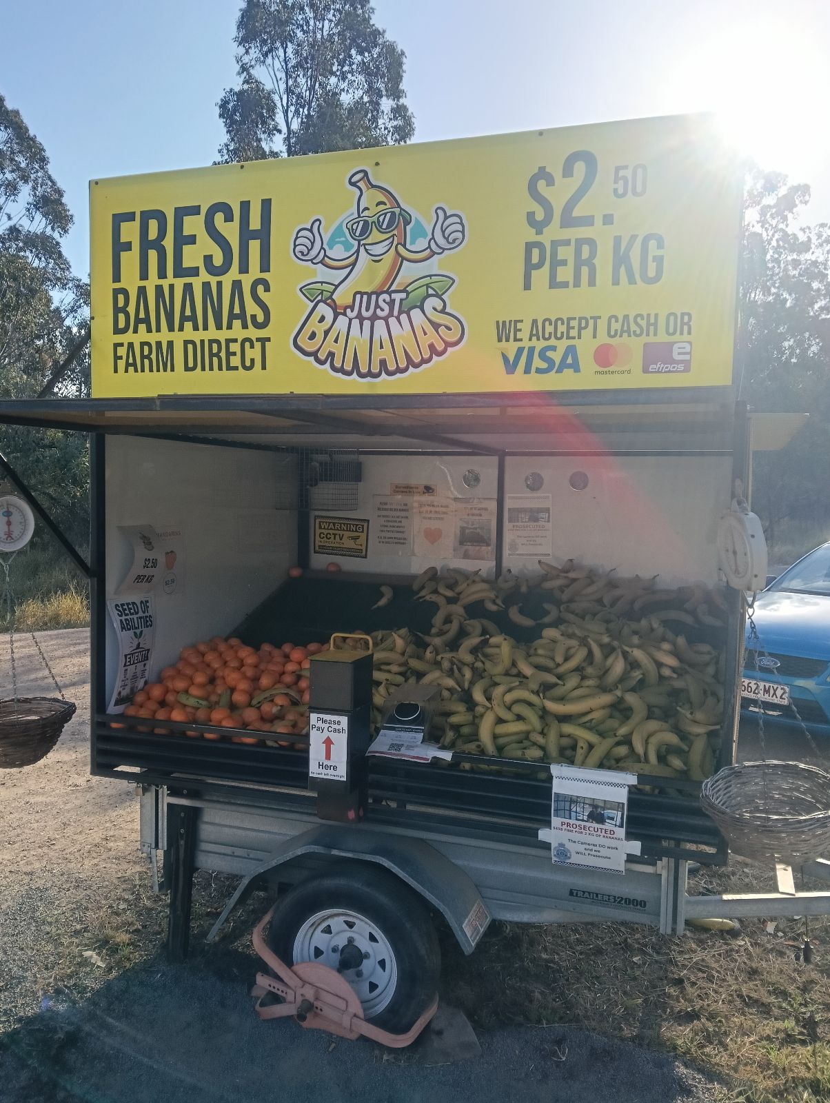 Just Bananas - Pine Mountain in Pine Mountain, QLD
