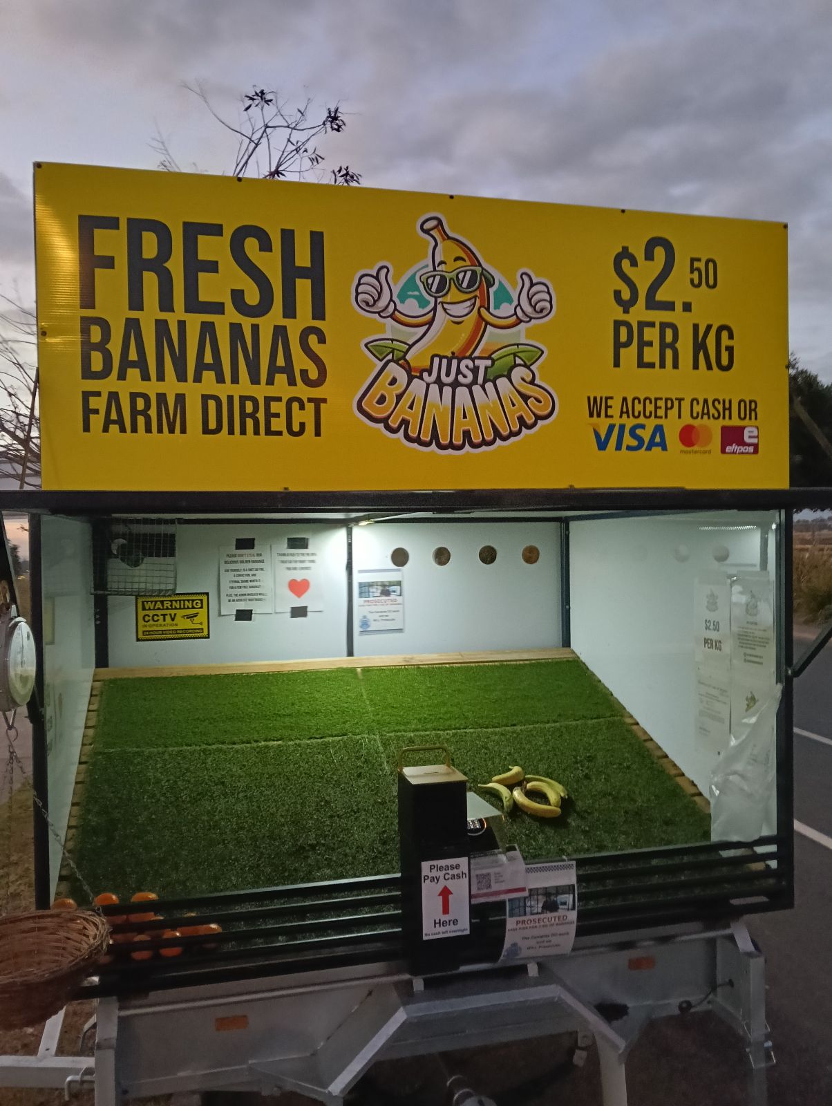 Just Bananas - Springfield in Springfield Central, QLD